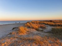 Strand mit D&uuml;nenlandschaft