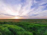 Sonnenuntergang Salzwiesen 2